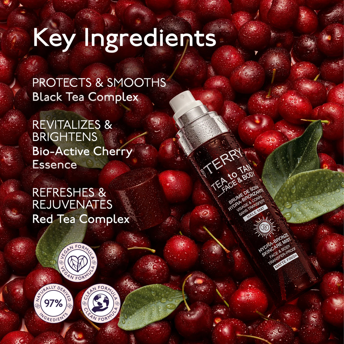 TEA TO TAN  FACE & BODY